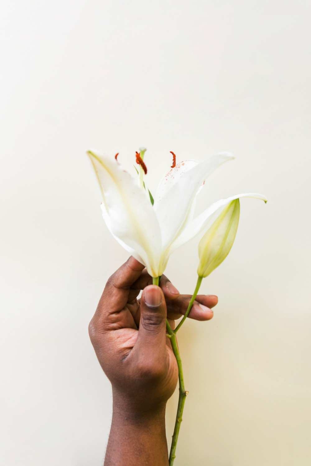 flores para las familias que atraviesan un duelo